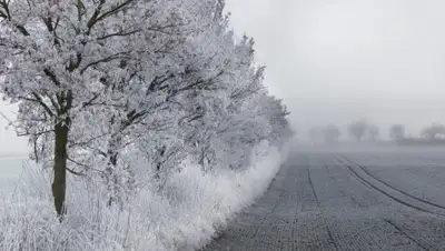 pxhere, фото - Новости Zakon.kz от 12.02.2020 12:02