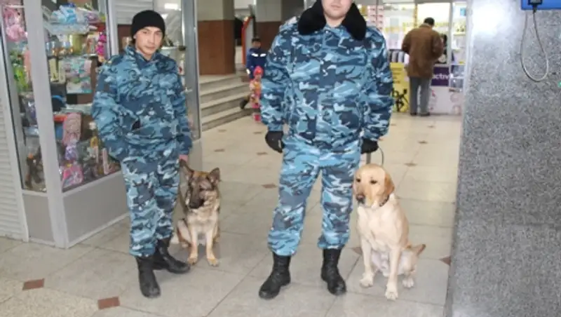 Торговый дом "заминировали" в Щучинске