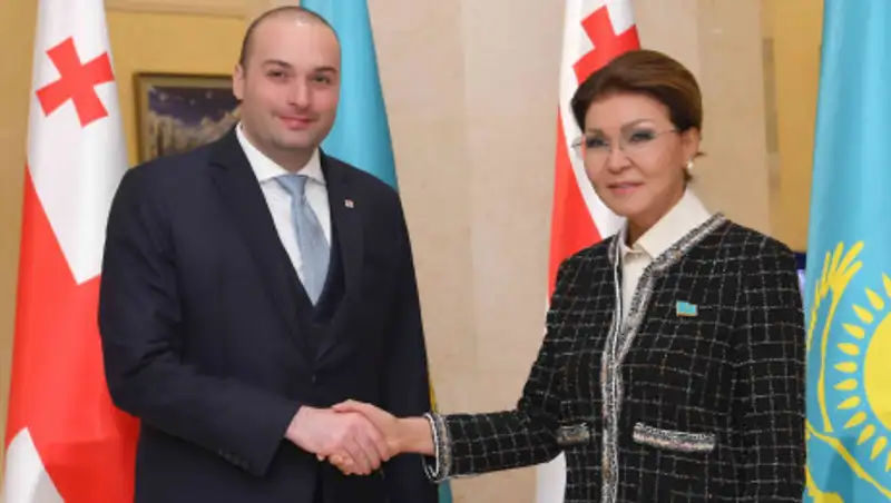 Председатель Сената провела встречу с премьер-министром Грузии