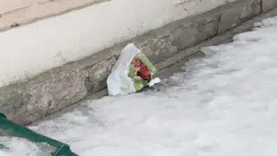 Фото: ALTAYNEWS, фото - Новости Zakon.kz от 18.01.2018 06:12