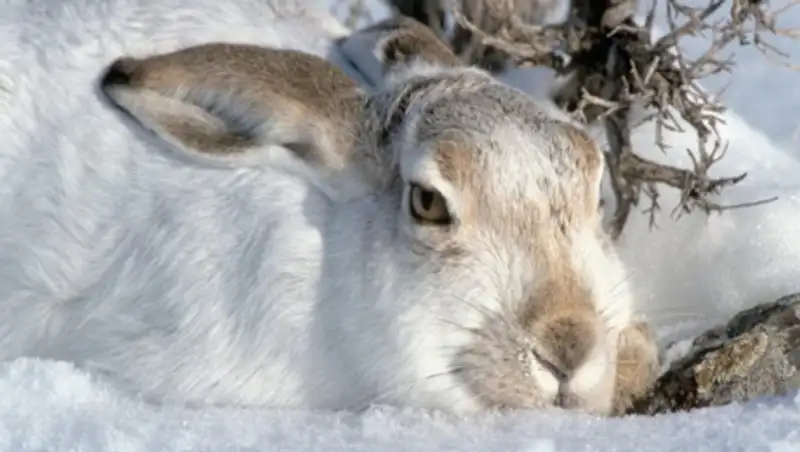 В выходные дни в большинстве областей Казахстана ожидается погода без осадков