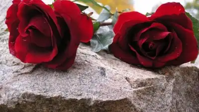 Zakon.kz, фото - Новости Zakon.kz от 13.12.2016 16:10