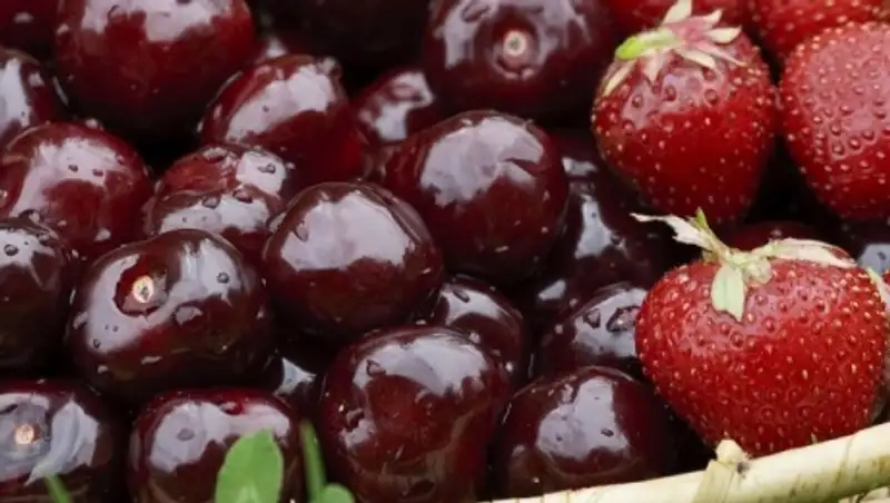 Сто тонн клубники и черешни из Польши и Венгрии стали жертвой российского эмбарго
