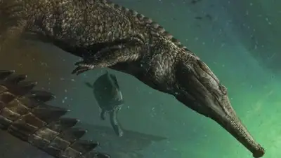 ВКонтакте, фото - Новости Zakon.kz от 13.07.2018 23:37