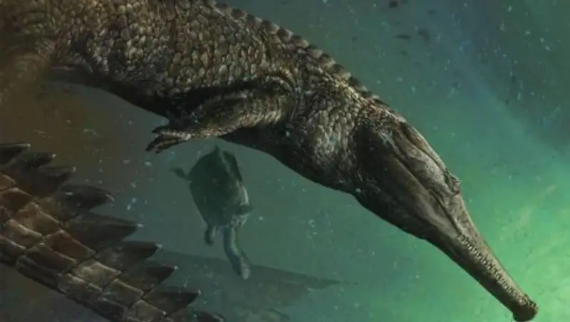 В Костанайской области обнаружили останки древнего крокодила