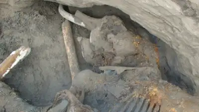 Zakon.kz, фото - Новости Zakon.kz от 20.11.2015 16:15