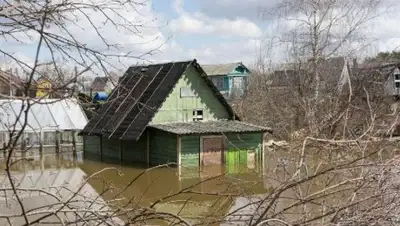 inform.kz, фото - Новости Zakon.kz от 17.07.2018 07:45