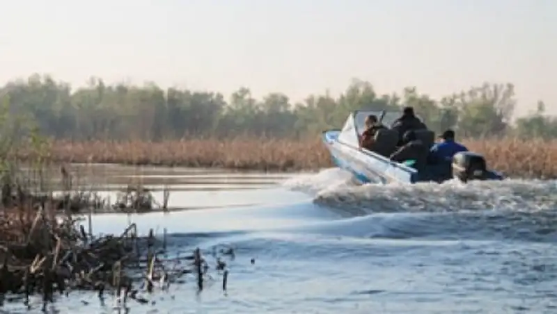 В Казахстане завершена рыбоохранная акция «Бекіре-2016»