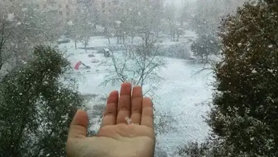 Zakon.kz, фото - Новости Zakon.kz от 12.10.2015 01:14