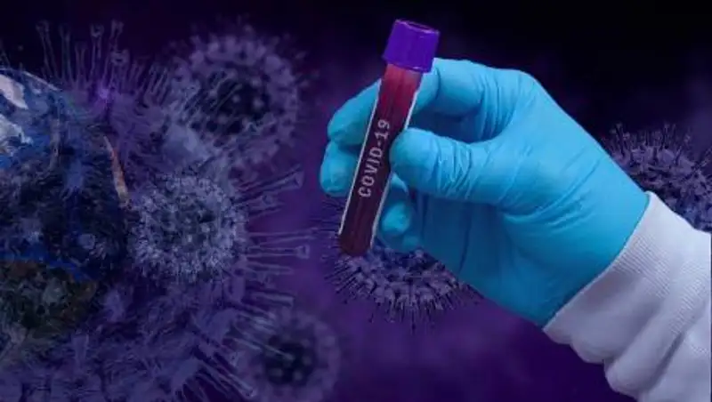 В Африке обнаружили новый штамм коронавируса