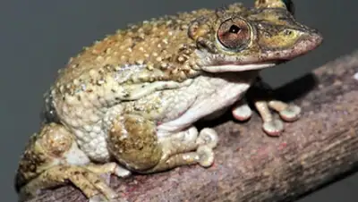 Zakon.kz, фото - Новости Zakon.kz от 07.08.2015 16:50