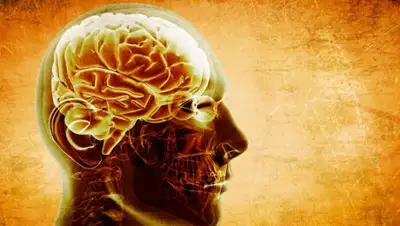 Zakon.kz, фото - Новости Zakon.kz от 04.11.2017 11:03