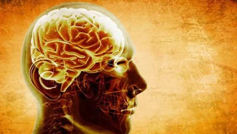 Ученые рассказали о влиянии дружбы на старение мозга