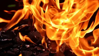 Pixabay, фото - Новости Zakon.kz от 12.05.2020 11:42