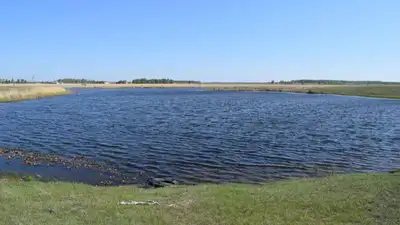 тело девочки нашли в СКО, фото - Новости Zakon.kz от 20.05.2023 17:46