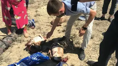 facebook.com/s.dildakhmet, фото - Новости Zakon.kz от 23.07.2020 18:27