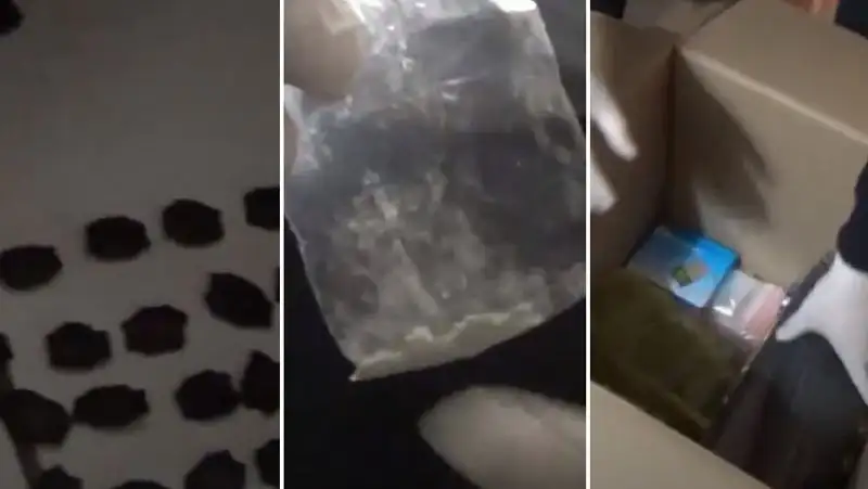 Алматинка создала нарколабораторию в Усть-Каменогорске