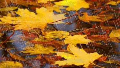 pixabay.com, фото - Новости Zakon.kz от 30.09.2020 12:13