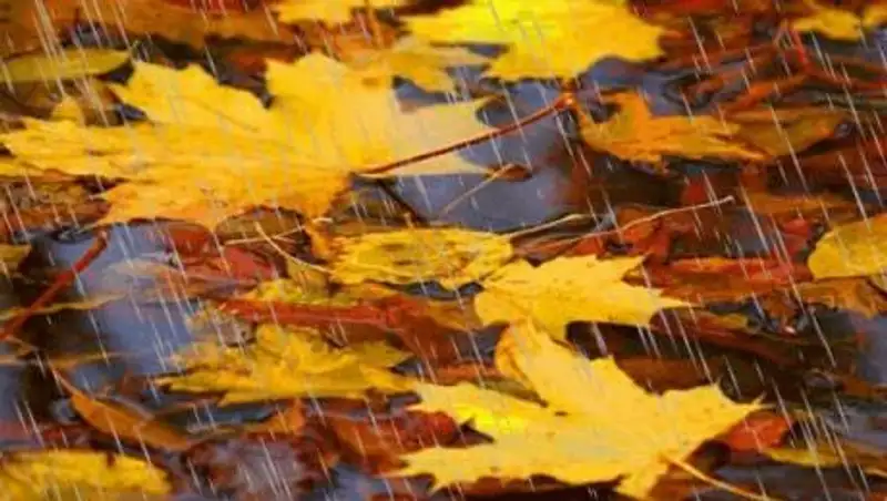 В конце недели ожидаются осадки в Казахстане