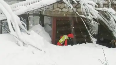 Zakon.kz, фото - Новости Zakon.kz от 25.01.2017 22:30