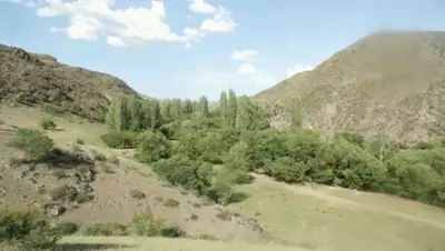 Zakon.kz, фото - Новости Zakon.kz от 02.04.2016 16:08