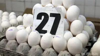 Zakon.kz, фото - Новости Zakon.kz от 14.11.2013 18:36