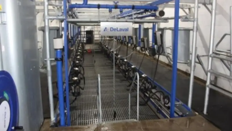 Жамбыл облысында 600 басқа арналған роботталған сиыр сауу қондырғылары жұмыс істейді