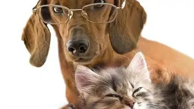 Zakon.kz, фото - Новости Zakon.kz от 30.09.2017 23:35