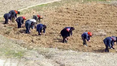 Zakon.kz, фото - Новости Zakon.kz от 30.03.2016 18:24