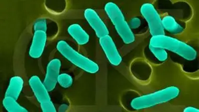 Zakon.kz, фото - Новости Zakon.kz от 08.10.2014 15:07