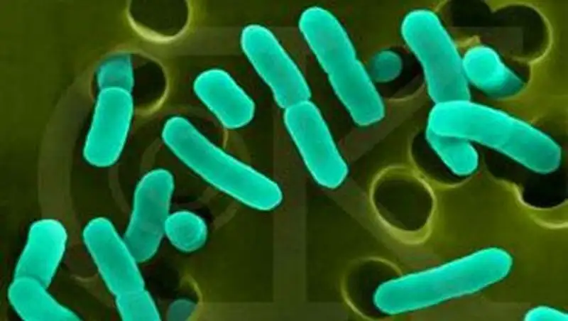 В Риддере опасная инфекция забрала жизни двух детей