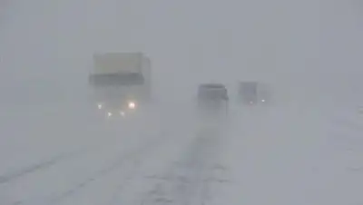 24kz, фото - Новости Zakon.kz от 23.01.2020 08:39