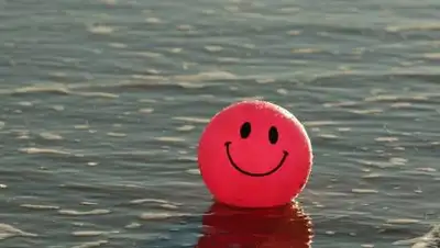 Pixabay, фото - Новости Zakon.kz от 06.12.2020 10:58