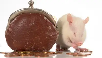 depositphotos.com, фото - Новости Zakon.kz от 24.12.2019 09:51