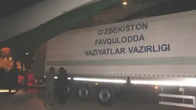 Фото:  МЧС Республики Узбекистан, фото - Новости Zakon.kz от 20.01.2018 14:13