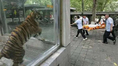 adme.ru, фото - Новости Zakon.kz от 08.06.2019 21:21