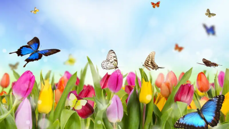 Какая погода ждет жителей Нур-Султана и Шымкента