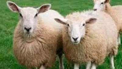 Zakon.kz, фото - Новости Zakon.kz от 09.07.2014 03:19