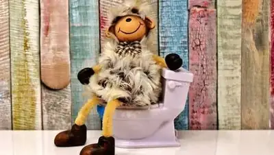 pixabay.com, фото - Новости Zakon.kz от 18.05.2021 18:41