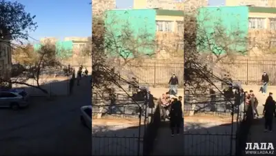 кадр из видео, фото - Новости Zakon.kz от 13.11.2019 15:03