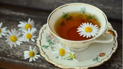 Как правильно заваривать чай, фото - Новости Zakon.kz от 21.05.2022 12:08