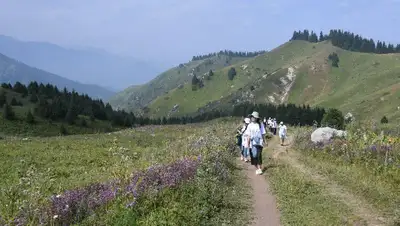 Депутаты раскритиковали работу по развитию отечественного туризма, фото - Новости Zakon.kz от 20.10.2022 17:48