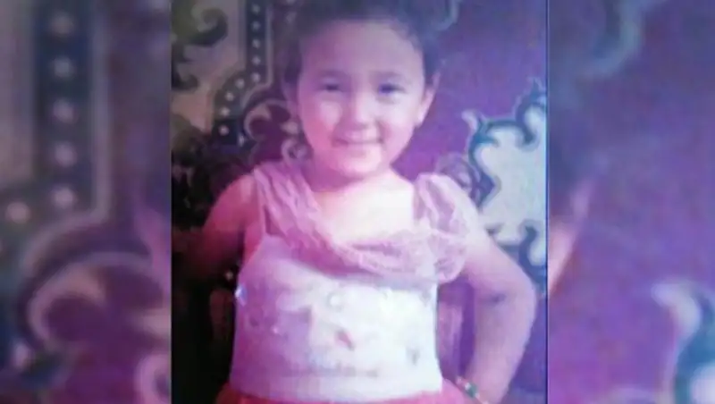 К поискам пропавшей в ЮКО девочки подключили водолазов