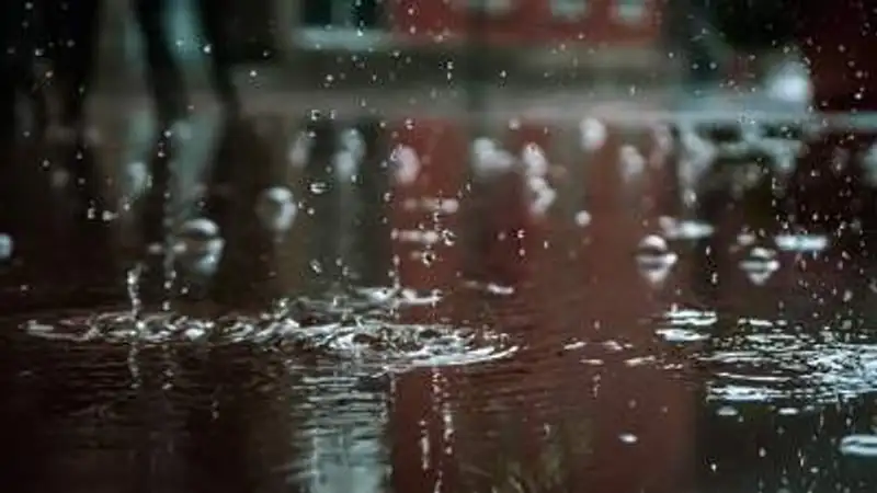 , фото - Новости Zakon.kz от 14.06.2023 06:21