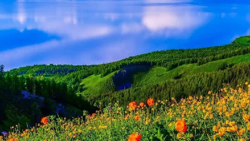 Красоты Маркаколя показали с высоты птичьего полета