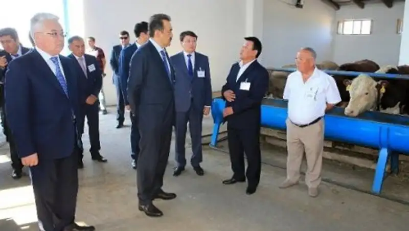 Кәрім Мәсімов: Оңтүстік Қазақстан Облысының аграрлық әлеуеті жоғары