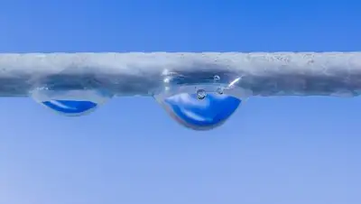 pixabay, фото - Новости Zakon.kz от 11.02.2019 07:18