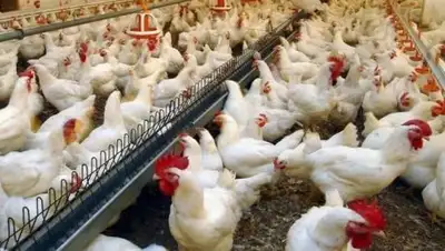 ИД "Сфера", фото - Новости Zakon.kz от 09.10.2018 18:58