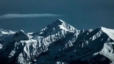 Алматинцев предупредили о ночных заморозках, фото - Новости Zakon.kz от 31.03.2023 10:53