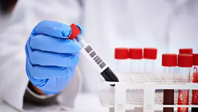 Хабар 24, фото - Новости Zakon.kz от 24.04.2020 19:24